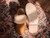 Dave's Deals Women's Sheepskin Slippers - NEW DESIGN - Size 9 - Tobacco