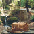 This is a tan brown leather duffle bag with three straps on front to hold overnight travel gear in front of a big stump.