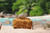 High quality tan brown leather duffle bag using the three straps and the detachable handle to carry the overnight travel gear. Anse Lazio in the Seychelles is in the background.