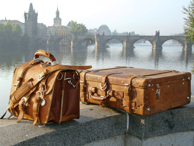 saddleback luggage