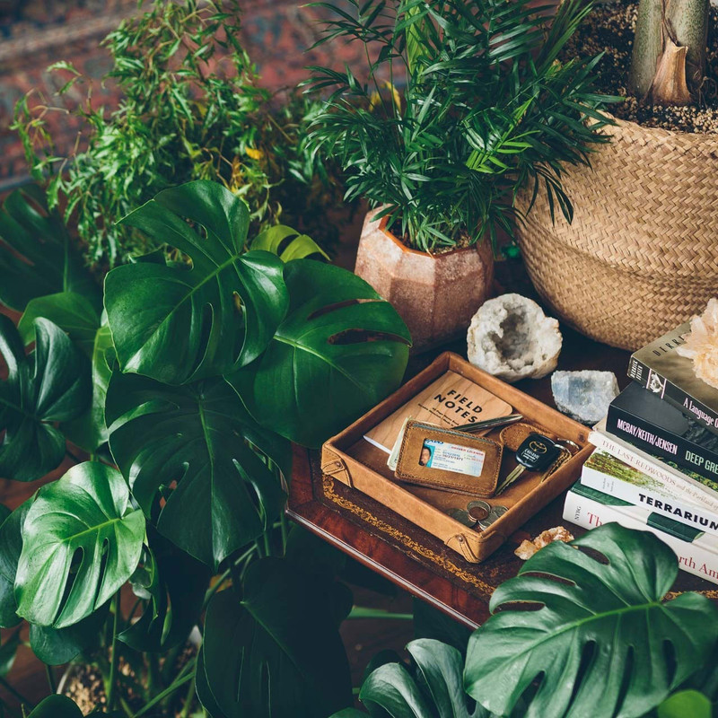 High quality this leather catchall valet tray can hold a lot. Especially this tan brown one in the bushes.
