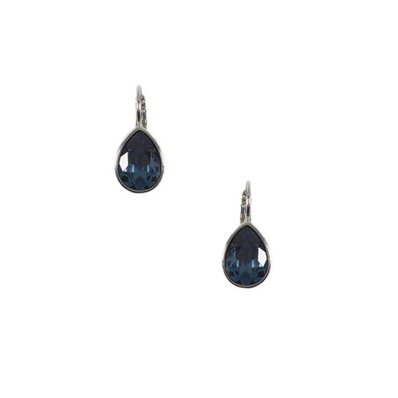 Dark Blue Long Earrings