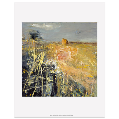 Summer Fields by Joan Eardley art print