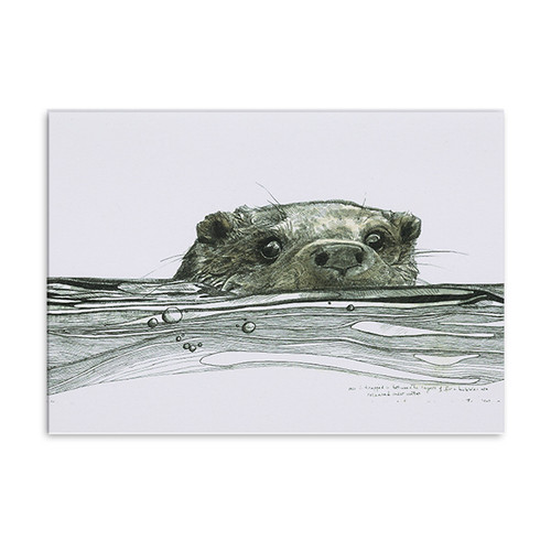 Otter greeting card by Hannah Longmuir