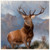 The Monarch of the Glen by Sir Edwin Landseer greeting card