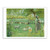Pierre Bonnard landscapes boxed notecard box (20 cards)