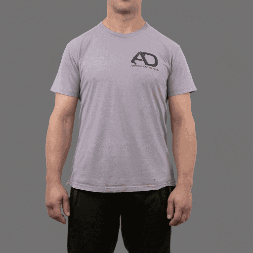 Light Bearing Enigma Express demonstration