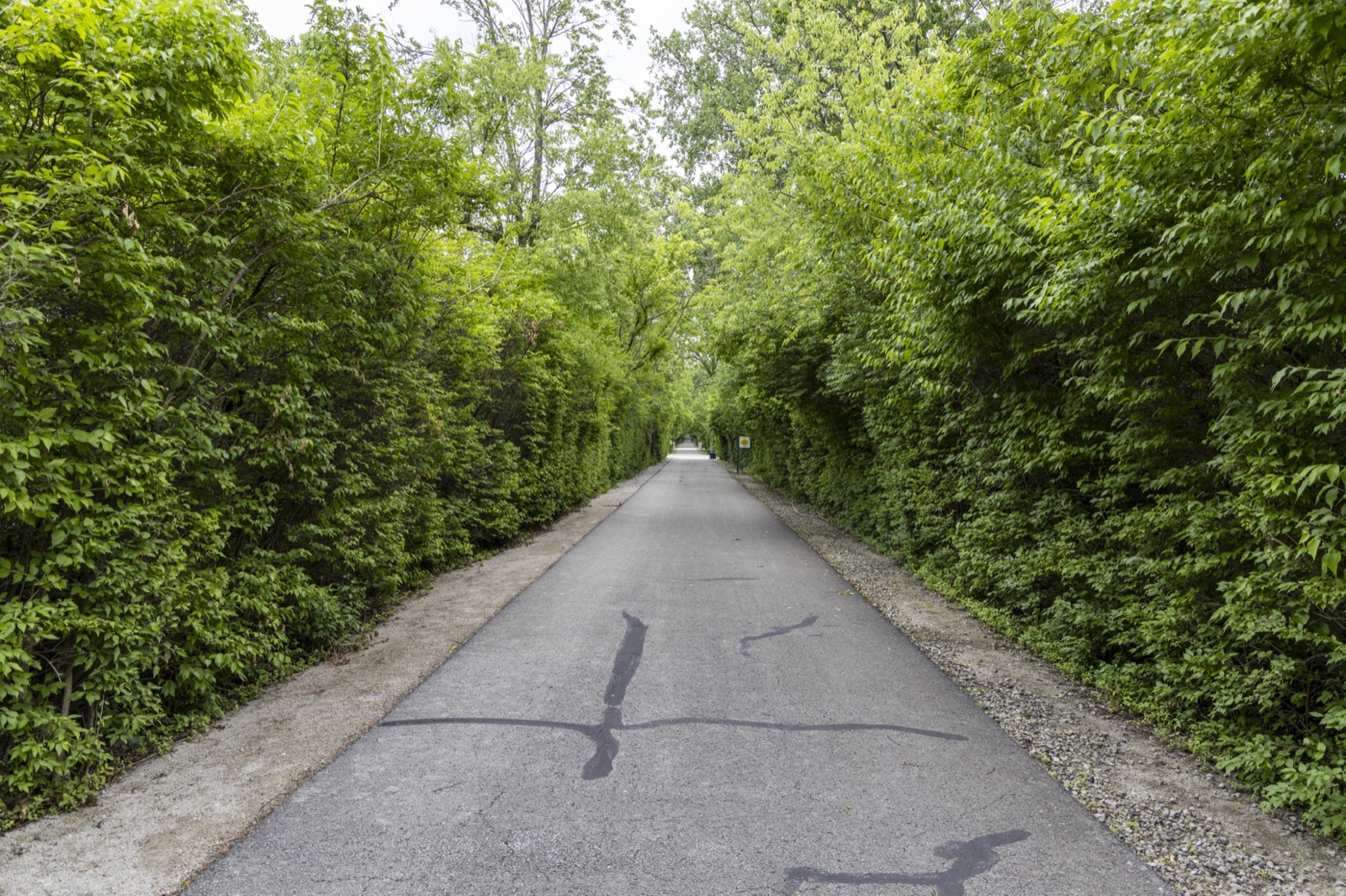 Suburban rail trail