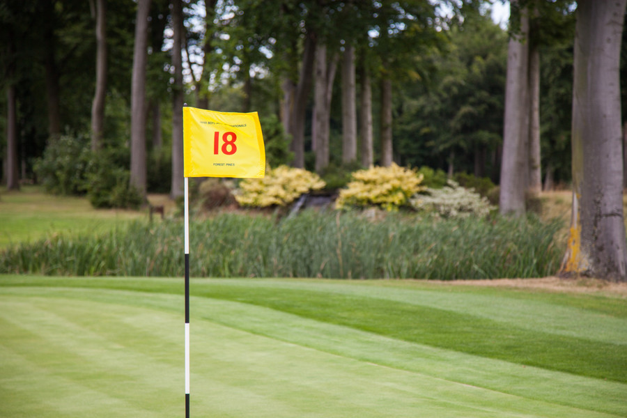 Golf Course Flag Pins Pinseeker