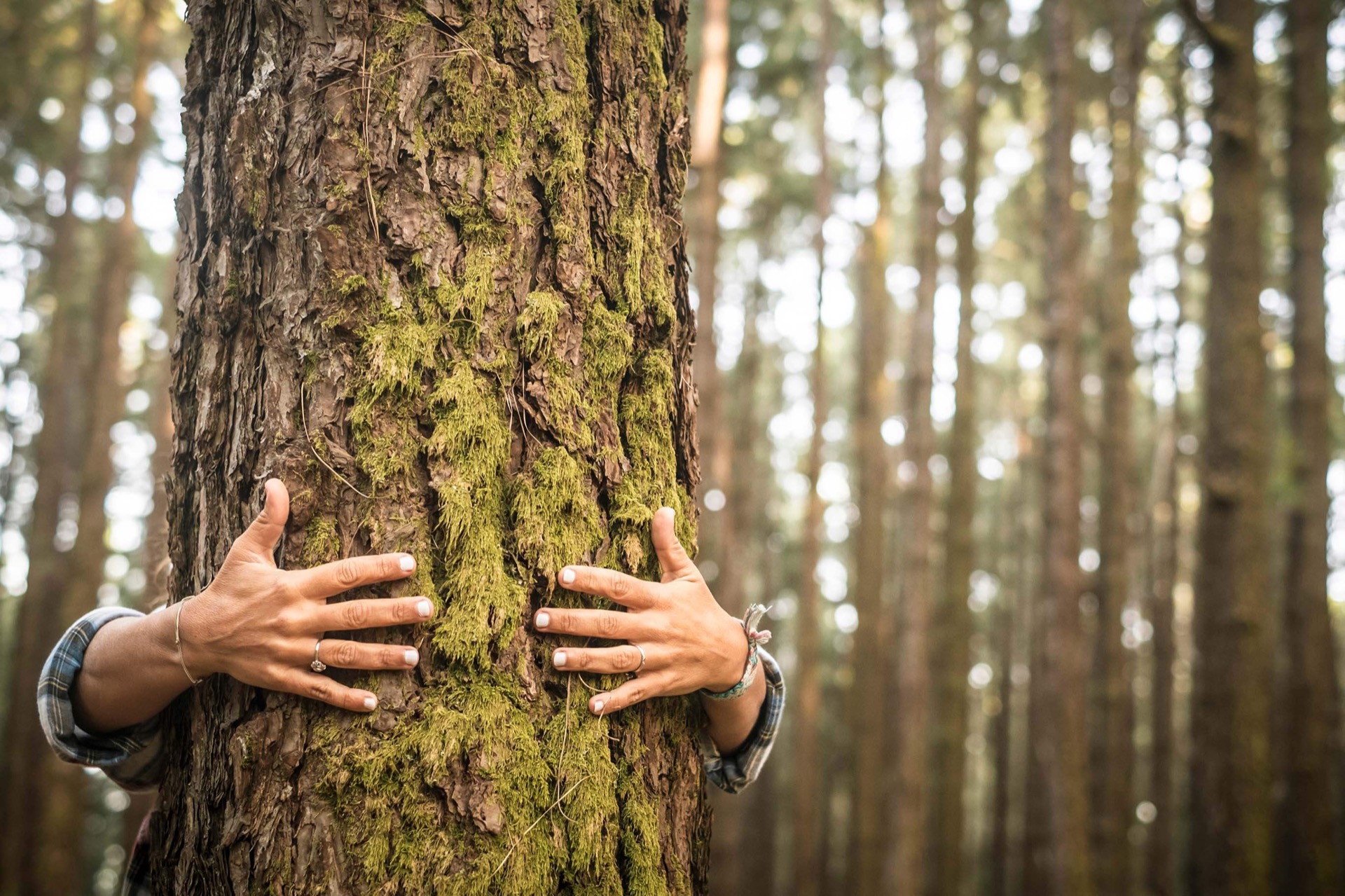 Environmental image