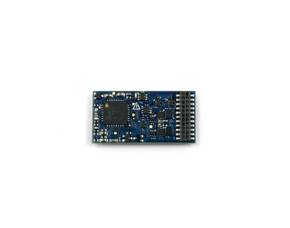 Tsunami2, TSU-21PNEM8 Back