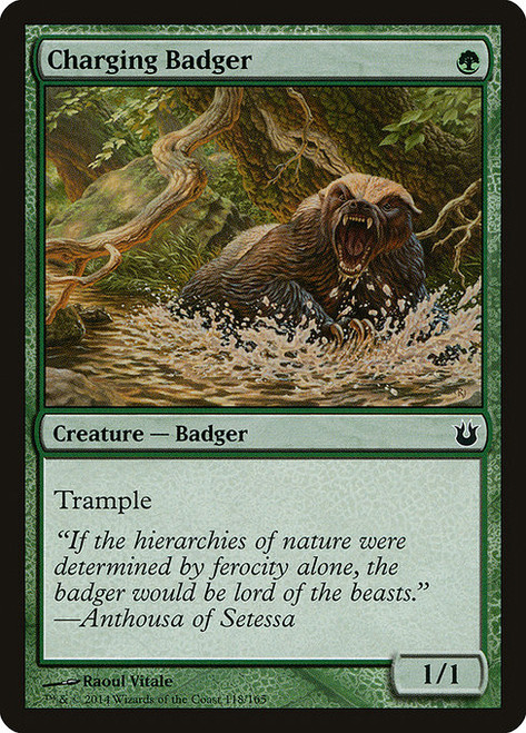 Charging Badger - Born of the Gods [F]