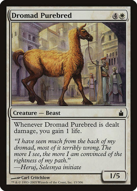 Dromad Purebred - Ravnica