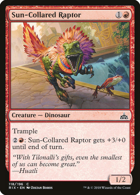 Sun-Collared Raptor - Rivals of Ixalan