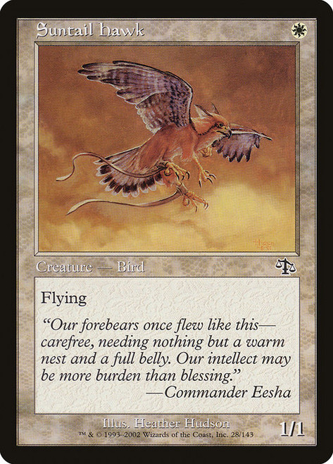Suntail Hawk - Judgment
