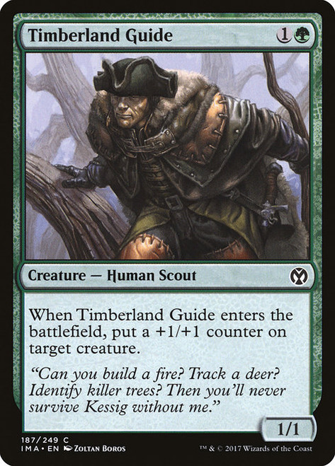 Timberland Guide - Iconic Masters