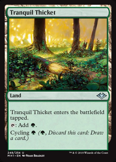 Tranquil Thicket - Modern Horizons