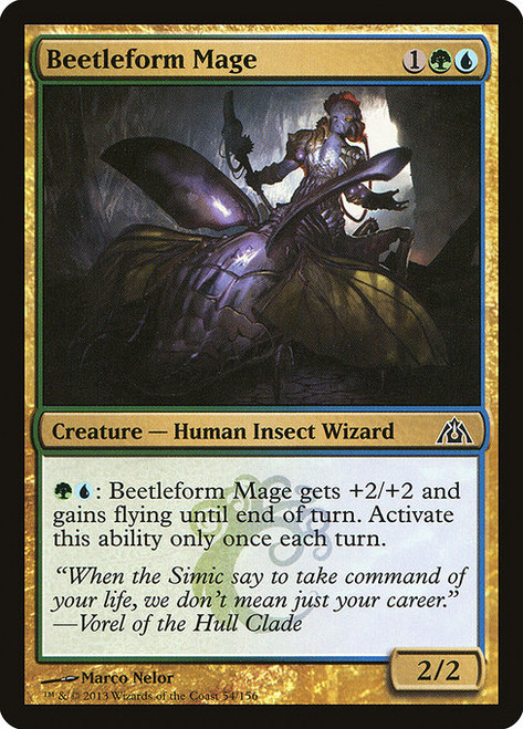 Beetleform Mage - Dragons Maze