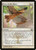 Eyes in the Skies - Return to Ravnica [F]