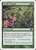 Fertile Ground - 8th Edition