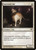 Sanctuary Cat - Dark Ascension
