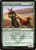 Sandsteppe Scavenger - Dragons of Tarkir [F]