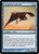 Screaming Seahawk - Conspiracy [F]