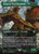 Fangorn, Tree Shepherd - The Lord of the Rings: Tales of Middle-Earth: Borderless