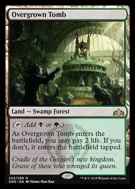 Image: Overgrown Tomb - Guilds of Ravnica