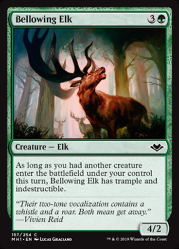 Image: Bellowing Elk - Modern Horizons