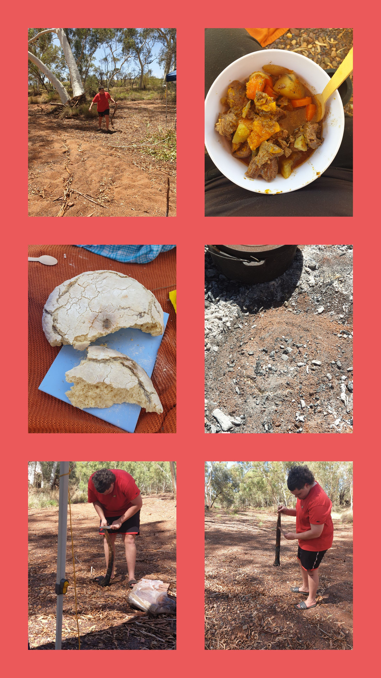 Bush Foods 