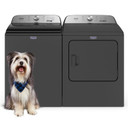 OPEN BOX of Maytag® Pet Pro Top Load Washer - 5.4 cu. ft. IEC MVW6500MBK_CD3000009