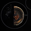 Whirlpool® 36" Intelligent Induction Cooktop with Temp Cook™ Technology and WipeClean™ Coating WCIT7536SB