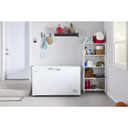 Amana® 16 Cu. Ft. Chest Freezer with Up-Front Temperature Control System AZCC2316TW