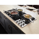 Jennair® Euro-Style 36 JX3™ Gas Downdraft Cooktop JGD3536GS