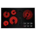 Jennair® Black Floating Glass 36 JX3™ Electric Downdraft Cooktop JED3536GB