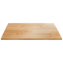 Gladiator® 28 Hardwood Top GAAC28HWGX