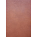 Cognac 18" Cuts By JennAir Leather Panel COGNAC18L