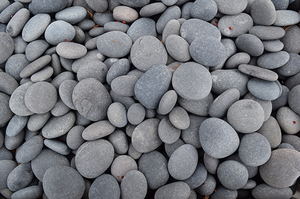 Mexican Beach Black 2"-3"