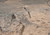 Available Color Canyon Irregular Step Available Color Canyon Irregular Step