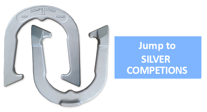 Silver Competition Horseshoes Link