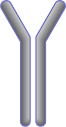Immunology Consultant Laboratory