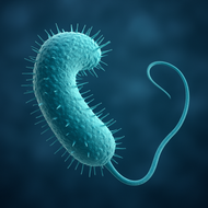 Cholera and the Human Body: How a Tiny Bacterium Causes Massive Impact ?