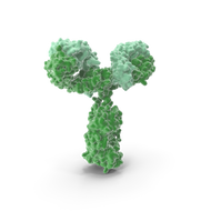 Smart Antibodies: The Next Generation of Living Therapeutics