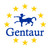 Foal IgG Test SensPERT