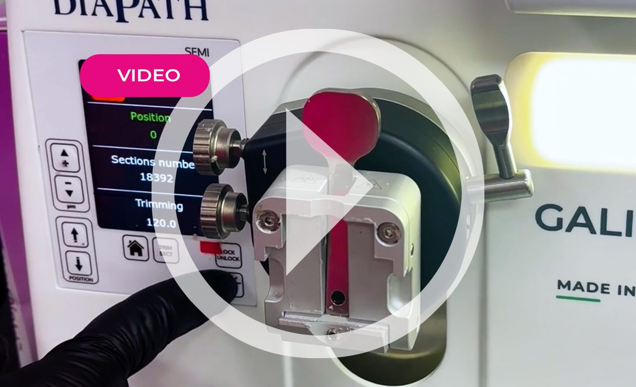Turning the Galileo Microtome Backlight on