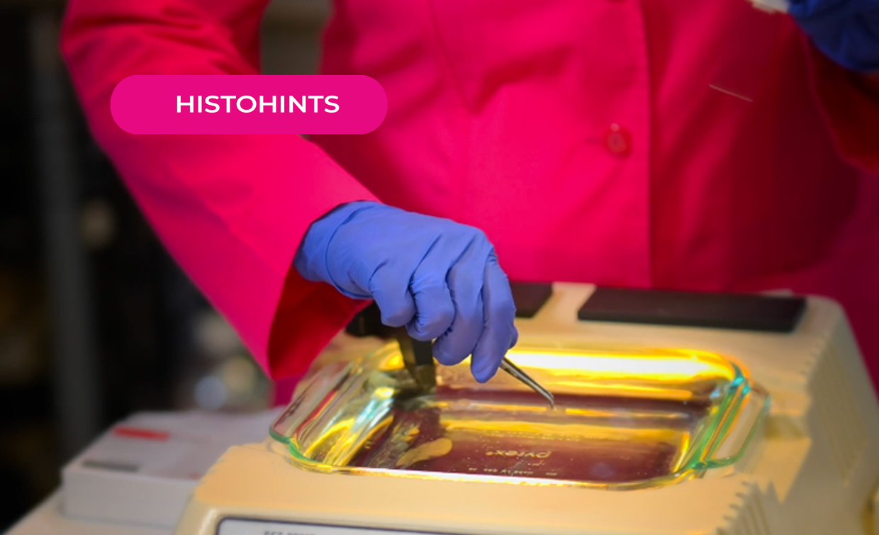 Waterbath tips for hydrophobic and hydrophilic slides.