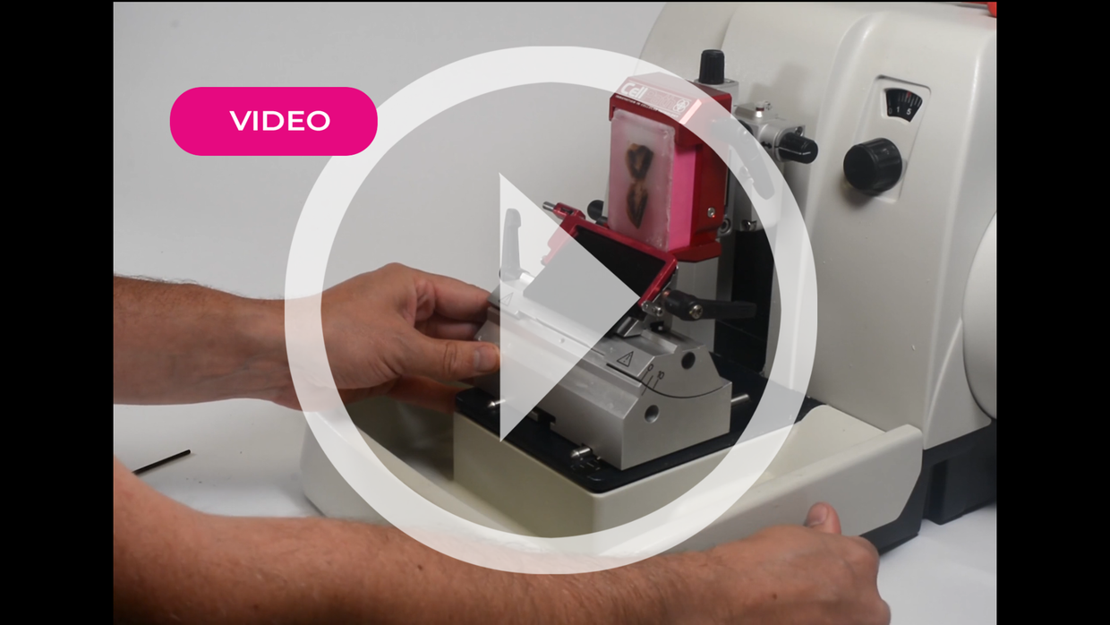 Supa Mega Universal Clamp