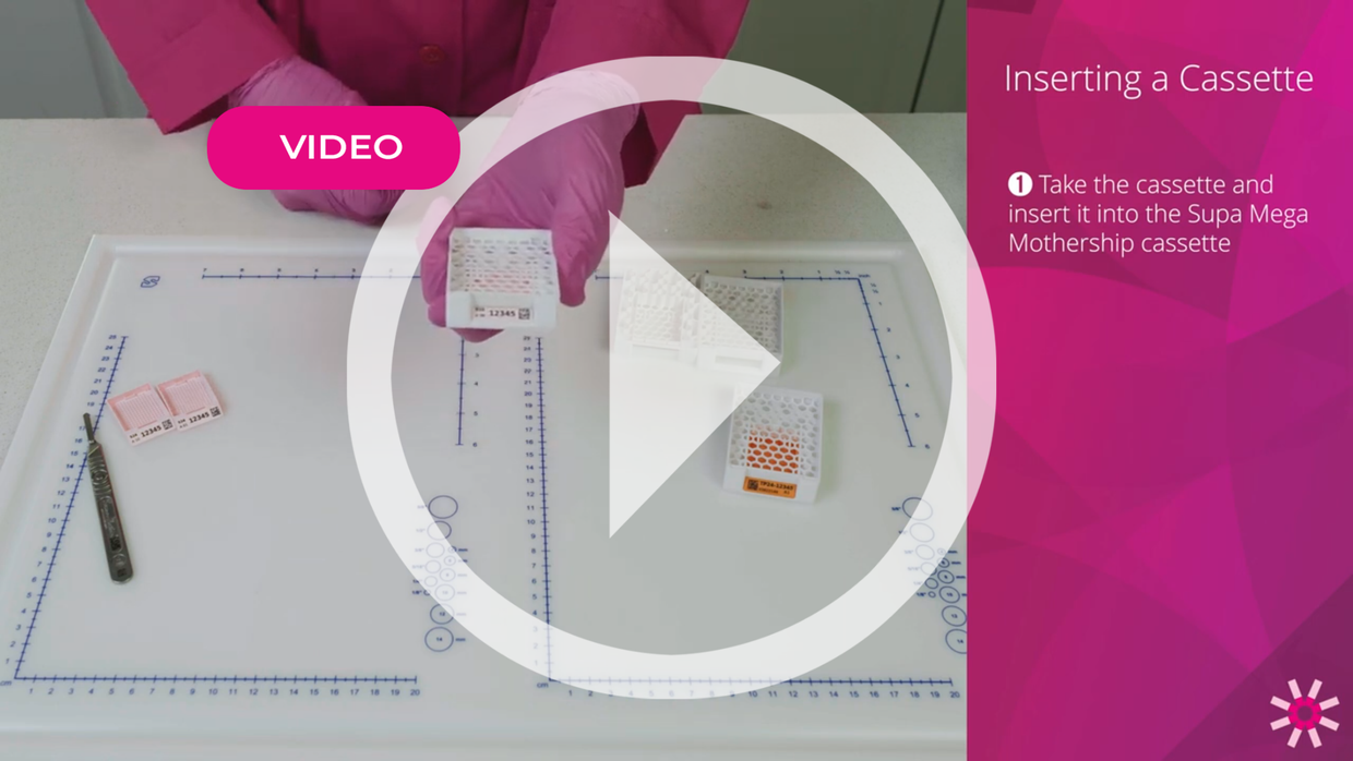 Supa Mega Mothership Cassettes