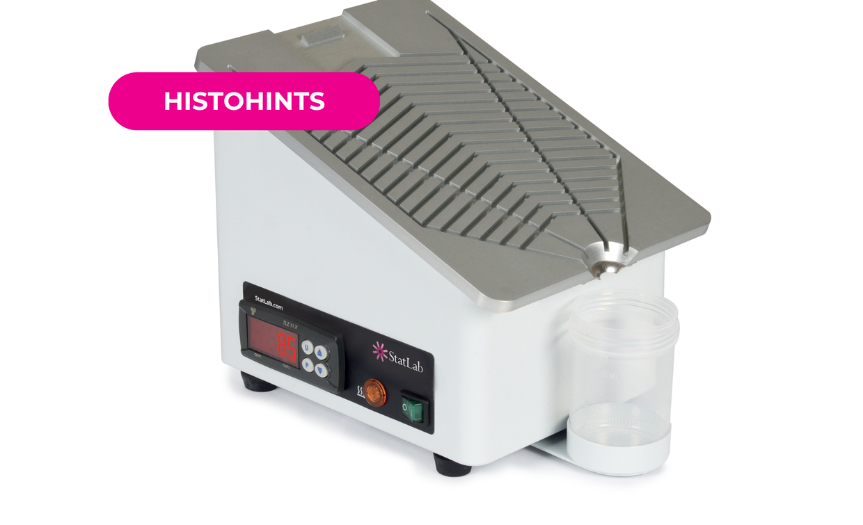 Paraffin Removal After Embedding